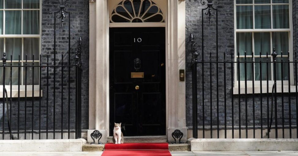 Sir Keir Starmer planning new pet for No 10